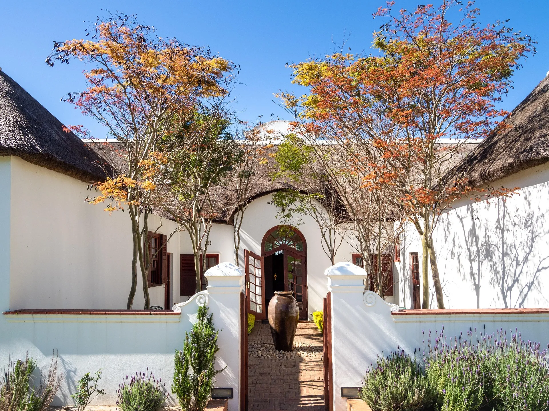 Front desk and housekeeping carts at a small property